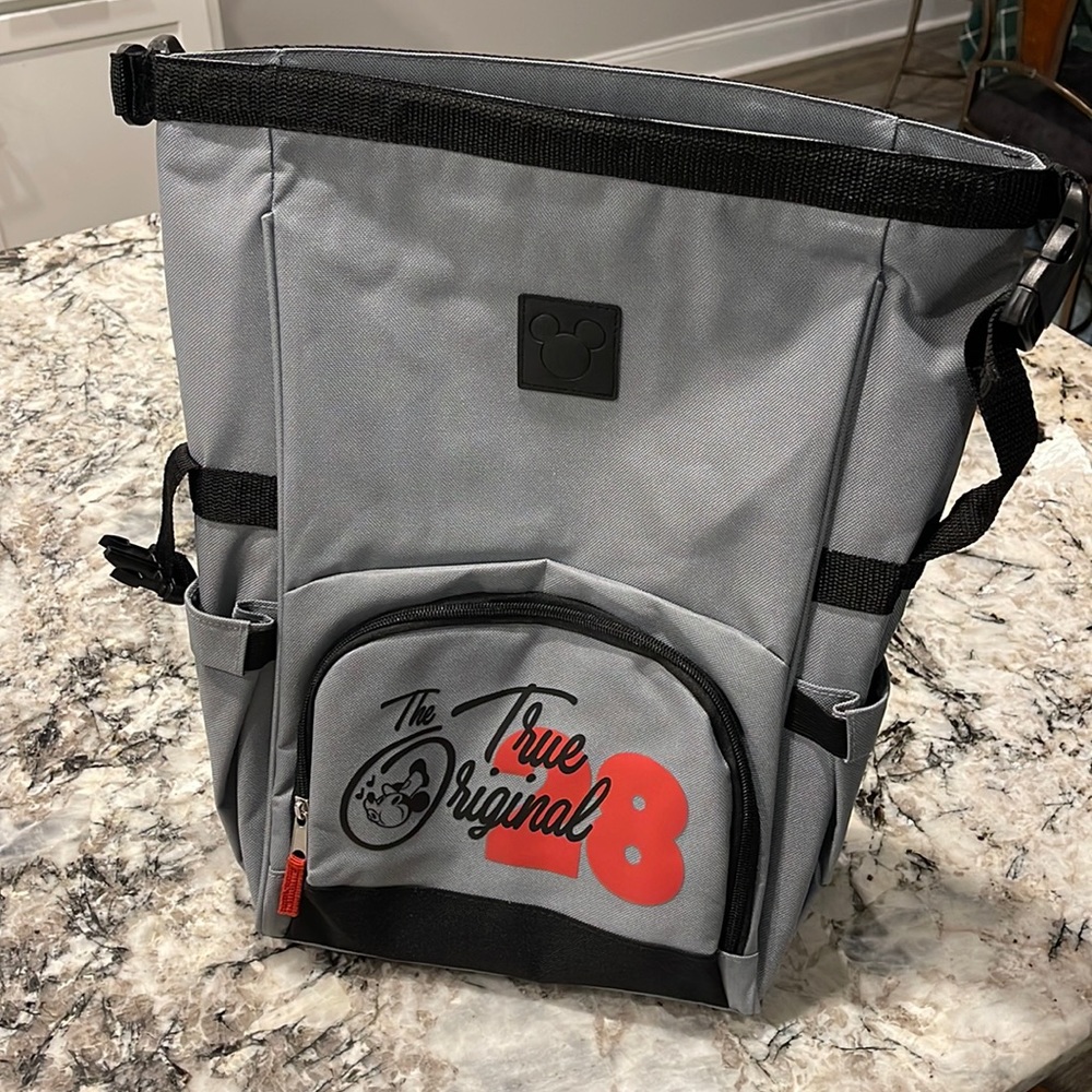 Disney backpack